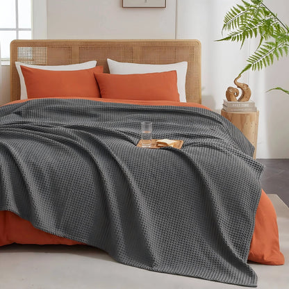 Vespera Egyptian Cotton Blanket